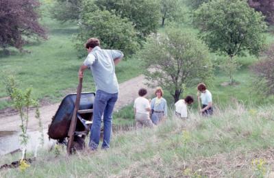 Arboretum employee with wheelbarrow and others planting young trees on side of hill