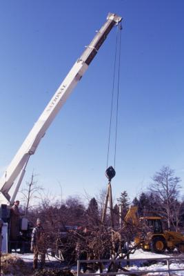 Grounds crew with crane placing tree in ground in winter