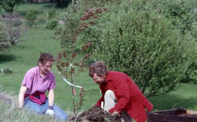 Rita Hassert and Tom Simpson planting young tree on hill