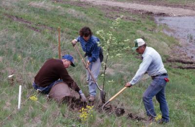 Dr. Marion Hall with two employees planting young tree near Crabapple Lake