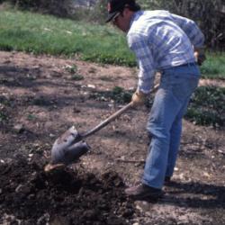 Joe Krol with shovel turning over soil