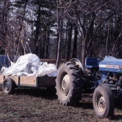 Tractor with flatbed attached containing bags of rootstock