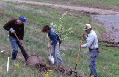 Dr. Marion Hall with two employees adding soil to newly planted young tree near Crabapple Lake