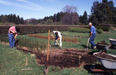 Horticulture crew preparing planting bed in Hedge Collection