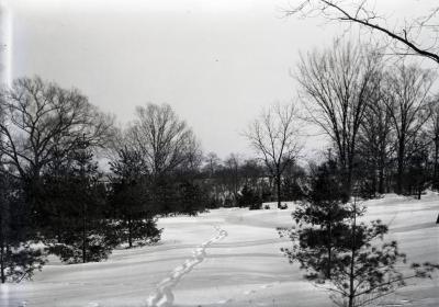 Arboretum road along north side of Lake Marmo in winter