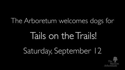 Tails on the Trails, September 12, 2015, trailer