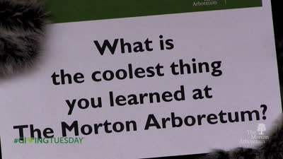 #Giving Tuesday, 2015, What's the coolest thing you learned at The Morton Arboretum?