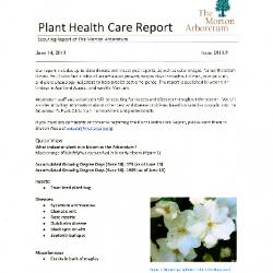 Plant Health Care Report: Issue 2013.9