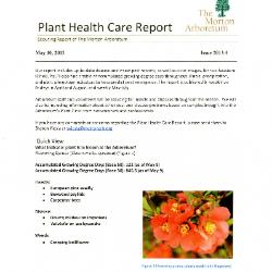 Plant Health Care Report: Issue 2013.4