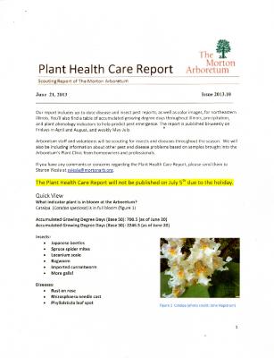 Plant Health Care Report: Issue 2013.10