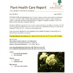 Plant Health Care Report: Issue 2013.11