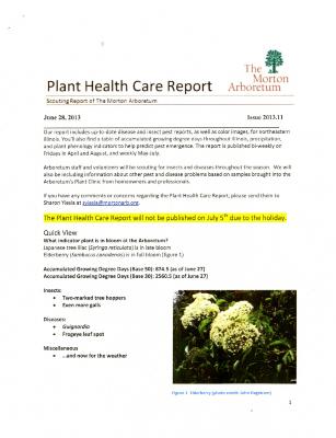 Plant Health Care Report: Issue 2013.11