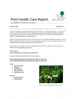 Plant Health Care Report: Issue 2013.6