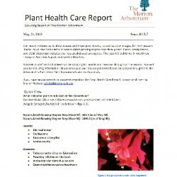 Plant Health Care Report: Issue 2013.7