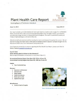 Plant Health Care Report: Issue 2013.9