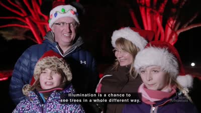 Illumination, Winter 2016-2017, testimonials, open captions