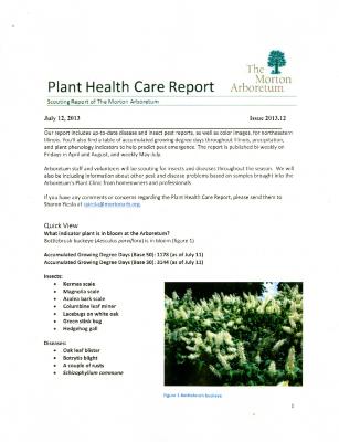 Plant Health Care Report: Issue 2013.12