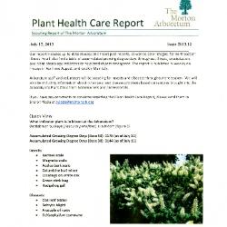 Plant Health Care Report: Issue 2013.12