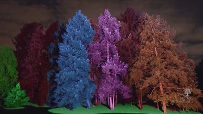 Treeology, Illumination, Winter 2016-2017, Treemagination