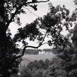 Rogers Farm on Park Blvd. viewed through trees from Ridge Road