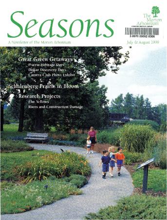 Seasons: July/August 1999