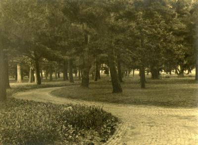 Arbor Lodge gardens and surrounding landscape, brick road curving through trees