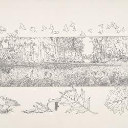 Bur Reed Marsh, Interpretation of Four Seasons: Fall