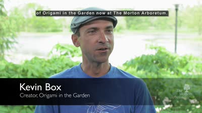 Origami In The Garden, May 19-October 22, 2017, Artist video