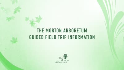 The Morton Arboretum Guided Field Trip Information