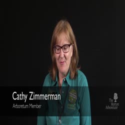 Member Stories, Cathy Zimmerman