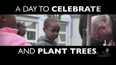 What Is Arbor Day?