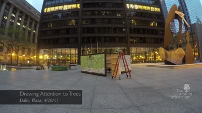 Arbor Day, 2017, Draw Attention To Trees, Daley Plaza, timelapse