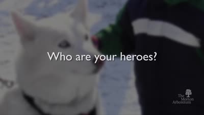 Husky Heroes, January 28-29, 2017, trailer
