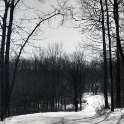 Forest Road in winter, footprints in the snow