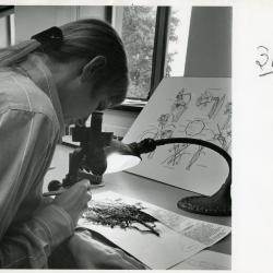 Nancy Hart viewing Herbarium specimen through microscope