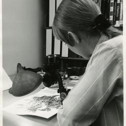 Nancy Hart working at desk with Herbarium specimen