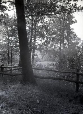 Ridge Road lookout looking west/northwest with tree in front of railing