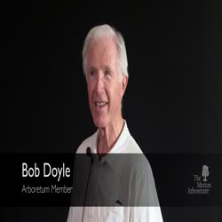 Member Stories, Bob Doyle