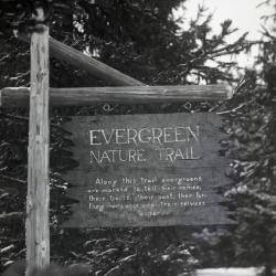 Evergreen Nature Trail entrance sign, close view