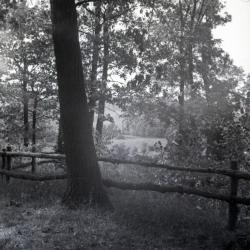 Ridge Road lookout looking west/northwest with tree in front of railing