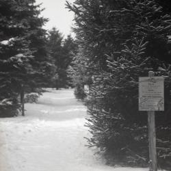 Evergreen Trail covered in snow, first post sign from trail guide on right