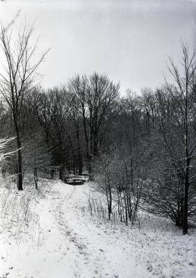 Joy Path in winter, south end