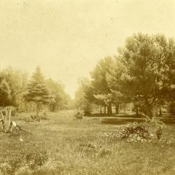 Arbor Lodge grounds