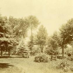 Early Arbor Lodge plantings & grounds