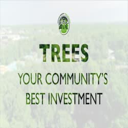 Chicago Region Trees Initiative: TREES, Your Community's Best Investment