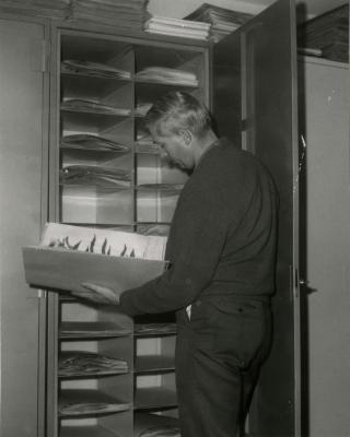Dr. William Hess reviewing specimens in Herbarium