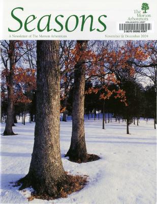 Seasons: November/December 2004