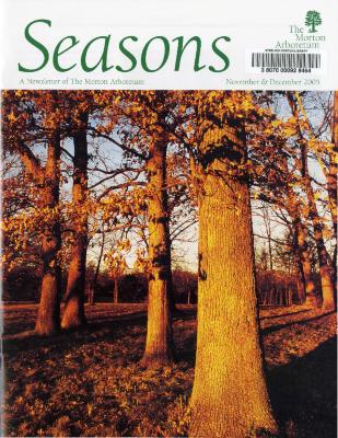 Seasons: November/December 2005