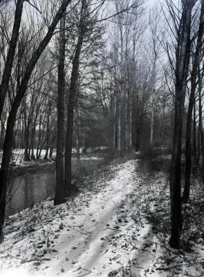 East side DuPage River path in winter looking north