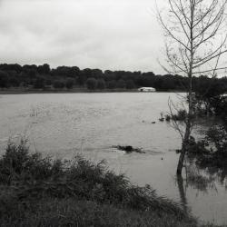 Dr. Malacek's land south of Arboretum during flood